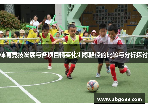 体育竞技发展与各项目精英化训练路径的比较与分析探讨